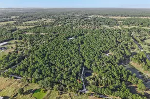 24550 Johnson Rd, Montgomery, TX 77356 - Photo 39