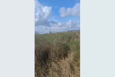 0 County Road 807, Angleton, TX 77515 - Photo 5