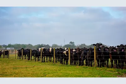 1119 Wolters Road, Schulenburg, TX 78956 - Photo 21