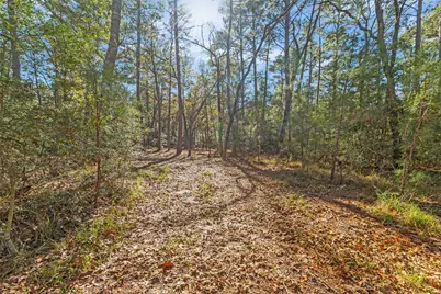 45 Oak Glen, Huntsville, TX 77320 - Photo 41