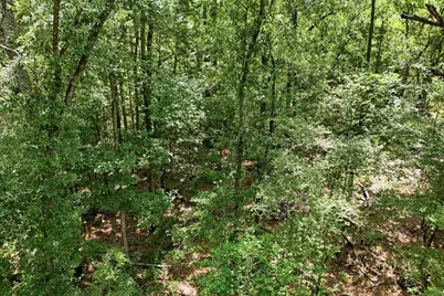 Tbd Coleman Drive, Splendora, TX 77372 - Photo 3