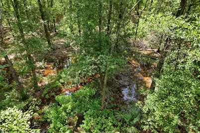 Tbd Coleman Drive, Splendora, TX 77372 - Photo 5