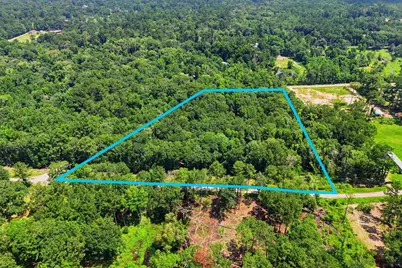 Tbd Coleman Drive, Splendora, TX 77372 - Photo 9