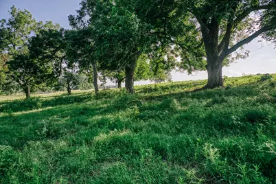 2734 Blue Hole Road, Bleiblerville, TX 78931 - Photo 29