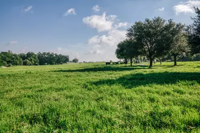 2734 Blue Hole Road, Bleiblerville, TX 78931 - Photo 43
