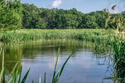 2734 Blue Hole Road, Bleiblerville, TX 78931 - Photo 23