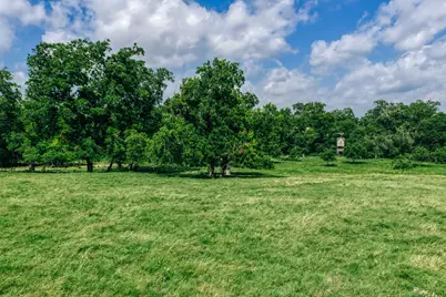 2734 Blue Hole Road, Bleiblerville, TX 78931 - Photo 41