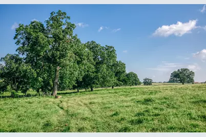 2734 Blue Hole Road, Bleiblerville, TX 78931 - Photo 37