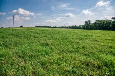 2734 Blue Hole Road, Bleiblerville, TX 78931 - Photo 39