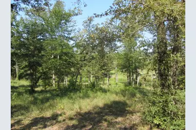 Tbd Tx-19, Huntsville, TX 77320 - Photo 21