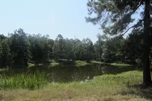 Tbd Tx-19, Huntsville, TX 77320 - Photo 1