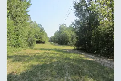 Tbd Tx-19, Huntsville, TX 77320 - Photo 7