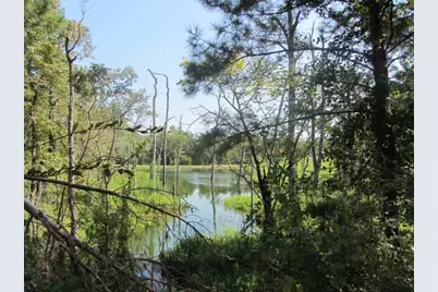 Tbd Tx-19, Huntsville, TX 77320 - Photo 13