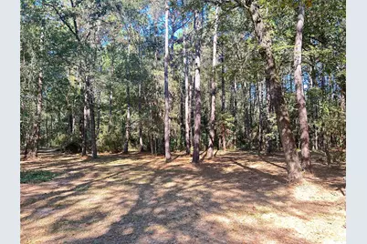 24445 Pipestem Drive, Magnolia, TX 77355 - Photo 1