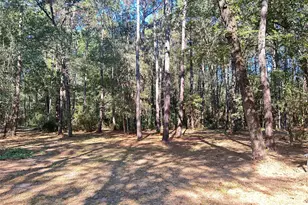 24445 Pipestem Dr, Magnolia, TX 77355 - Photo 1