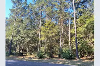 24445 Pipestem Drive, Magnolia, TX 77355 - Photo 3