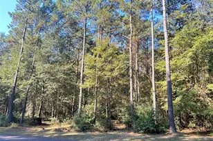 24445 Pipestem Dr, Magnolia, TX 77355 - Photo 3