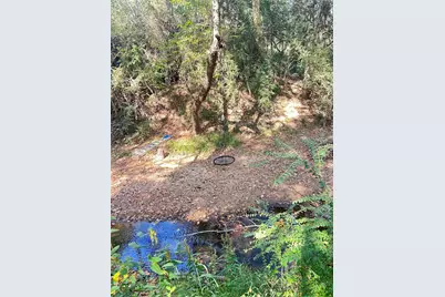 24445 Pipestem Drive, Magnolia, TX 77355 - Photo 7