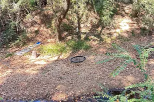 24445 Pipestem Dr, Magnolia, TX 77355 - Photo 7