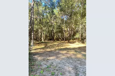 24445 Pipestem Drive, Magnolia, TX 77355 - Photo 5