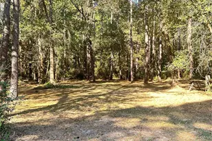 24445 Pipestem Dr, Magnolia, TX 77355 - Photo 5