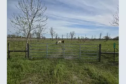 2115 County Road 244, Brazoria, TX 77422 - Photo 1
