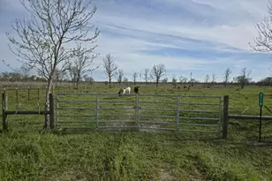 2115 County Rd 244, Brazoria, TX 77422 - Photo 1