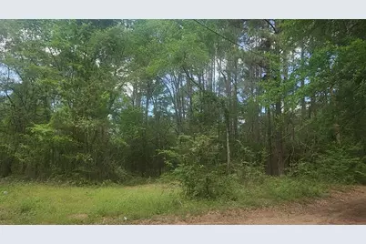 Lot 6 Thornwood Drive, Plantersville, TX 77363 - Photo 37