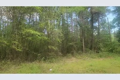 Lot 6 Thornwood Drive, Plantersville, TX 77363 - Photo 31