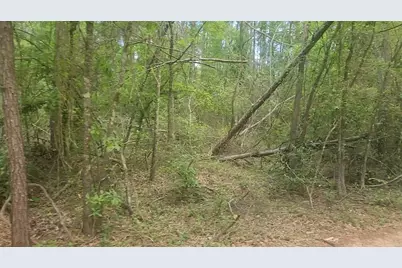 Lot 6 Thornwood Drive, Plantersville, TX 77363 - Photo 19