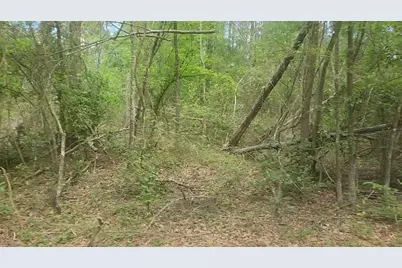 Lot 6 Thornwood Drive, Plantersville, TX 77363 - Photo 21