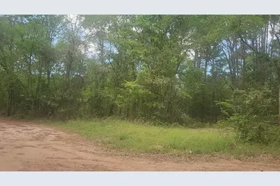 Lot 6 Thornwood Drive, Plantersville, TX 77363 - Photo 41