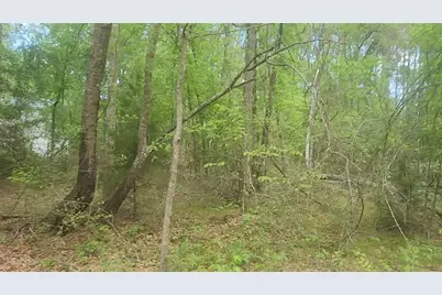 Lot 6 Thornwood Drive, Plantersville, TX 77363 - Photo 9