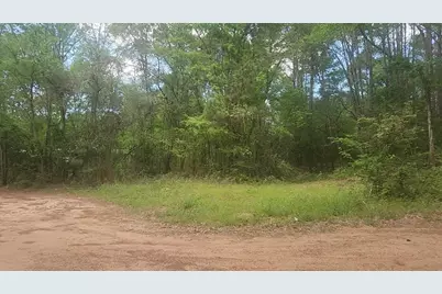 Lot 6 Thornwood Drive, Plantersville, TX 77363 - Photo 1