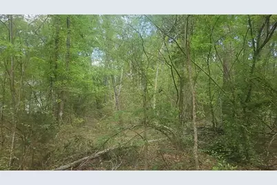 Lot 6 Thornwood Drive, Plantersville, TX 77363 - Photo 15