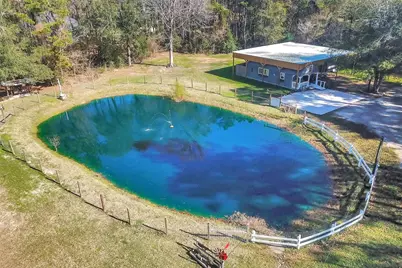 11500 Lost Quail Court, Plantersville, TX 77363 - Photo 49