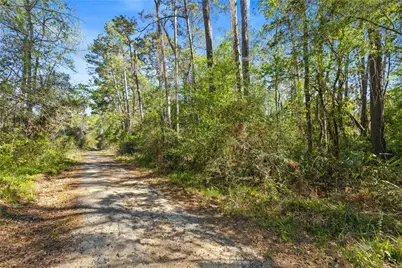 00 Lilac Lane, New Caney, TX 77357 - Photo 11