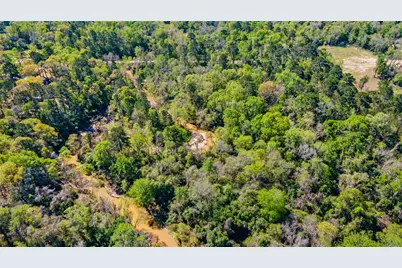 00 Lilac Lane, New Caney, TX 77357 - Photo 7