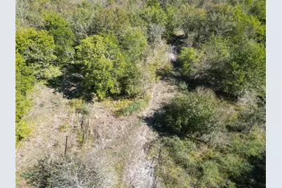 13.051 Acres Independence Drive, Bedias, TX 77831 - Photo 17