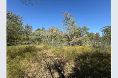 13.051 Acres Independence Drive, Bedias, TX 77831 - Photo 47