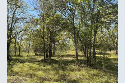 13.051 Acres Independence Drive, Bedias, TX 77831 - Photo 11
