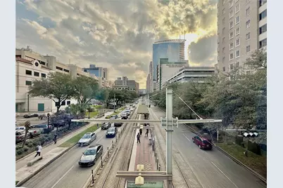 2345 Blue Bonnet Boulevard, Houston, TX 77030 - Photo 35