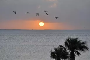 26570 Bay Water, Galveston, TX 77554 - Photo 31