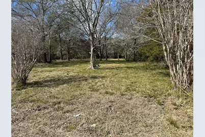 0 County Road 179, Alvin, TX 77511 - Photo 3