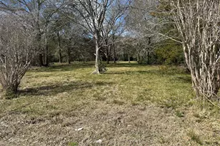 0 County Road 179, Alvin, TX 77511 - Photo 3