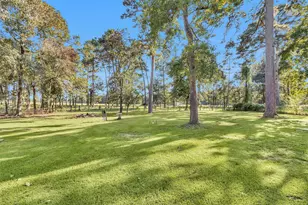 119 Pavey Circle, New Waverly, TX 77358 - Photo 5