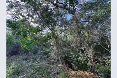 Tbd10 Coral Gables, Trinity, TX 75862 - Photo 7