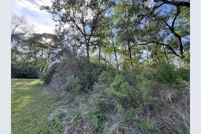 Tbd10 Coral Gables, Trinity, TX 75862 - Photo 11