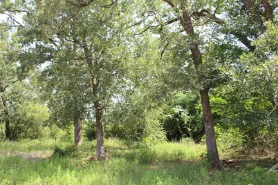 2547 Bob Mathews Street, Bedias, TX 77831 - Photo 27