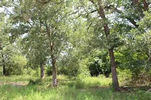 2547 Bob Mathews St, Bedias, TX 77831 - Photo 27